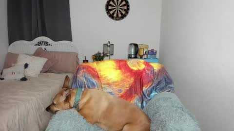 Ember Pheonixxx online show from 01/17/25, 03:12