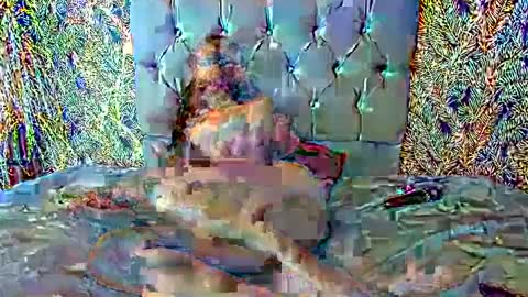 Snapshot of emigomez_ chatting on 02/27/25, 11:48 Emilia Gomez online show from 02/27/25, 11:48