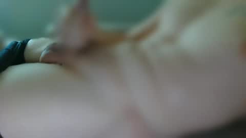 Snapshot of emil2211 chatting on 10/28/25, 02:42 emil2211 online show from 10/28/25, 02:42