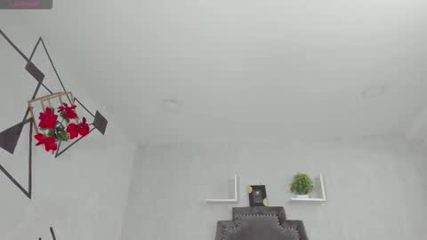 EmiliaRose online show from 11/16/25, 08:47