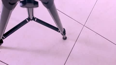 Snapshot of emily_castillo1_ chatting on 11/18/25, 03:23 emily_castillo1_ online show from 11/18/25, 03:23