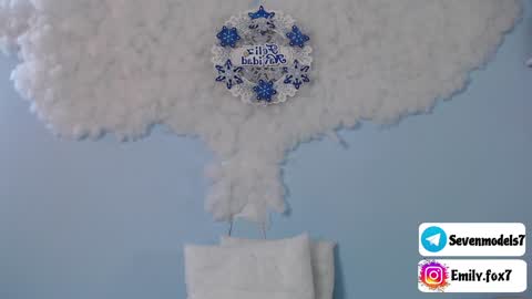 Snapshot of emily_fox7 chatting on 12/28/24, 12:03 emily_fox7 online show from 12/28/24, 12:03