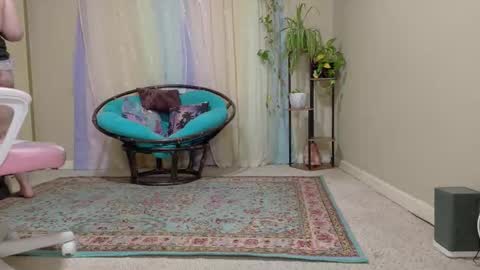 Snapshot of emilyshaze chatting on 10/24/25, 06:26 emily haze online show from 10/24/25, 06:26