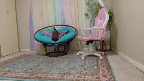 Snapshot of emilyshaze chatting on 11/08/25, 05:56 emily haze online show from 11/08/25, 05:56