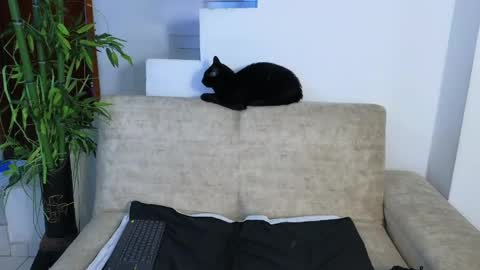 Emma Blue  modelo independiente online show from 04/22/26, 03:53