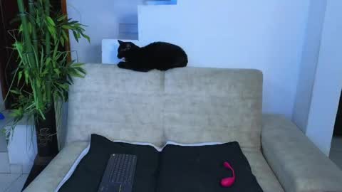 Emma Blue  modelo independiente online show from 04/23/26, 03:08