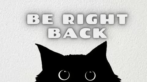   online show from 03/12/26, 11:27