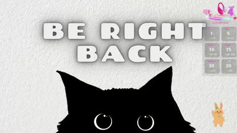   online show from 04/23/26, 11:31