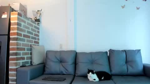 Emma Brant online show from 02/18/26, 12:34