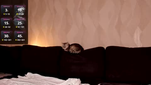 Snapshot of emmavictori chatting on 03/02/25, 08:29 Shaiya online show from 03/02/25, 08:29