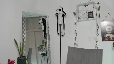 Emperatriz online show from 01/30/25, 11:13