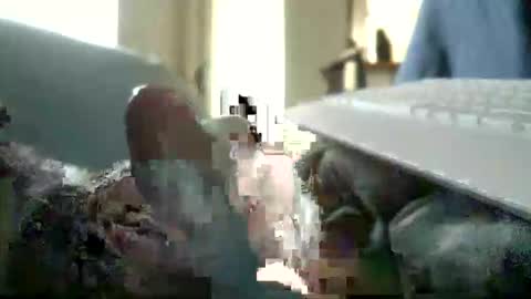 encormoi online show from 11/11/25, 08:47