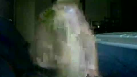 encormoi online show from 11/14/25, 08:46