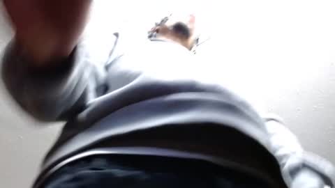 Snapshot of erick_martinezz chatting on 02/22/25, 03:01 erick online show from 02/22/25, 03:01