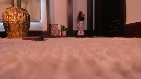 Venus Skye online show from 04/08/26, 07:14