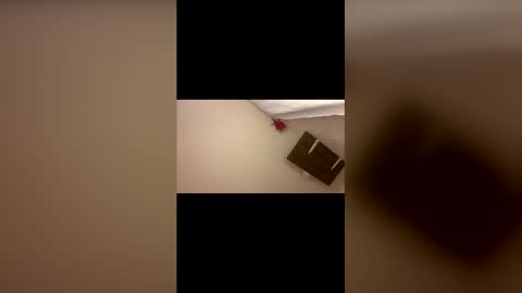 Gabs online show from 04/23/26, 01:24