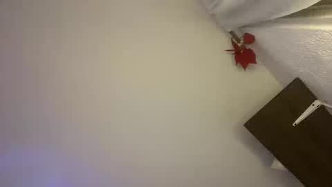 Gabs online show from 04/24/26, 02:03