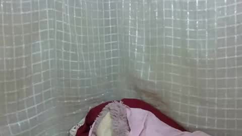 erotic_ebony56 online show from 04/16/26, 08:04