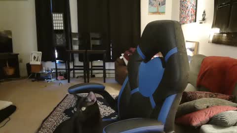 Snapshot of eroticsiren2 chatting on 02/05/25, 09:18 EroticSiren2 online show from 02/05/25, 09:18