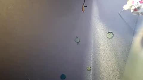 Snapshot of errrow chatting on 12/20/24, 06:24 errrow online show from 12/20/24, 06:24