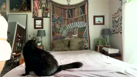 Snapshot of esi_cb chatting on 07/01/26, 11:56 Esi online show from 07/01/26, 11:56