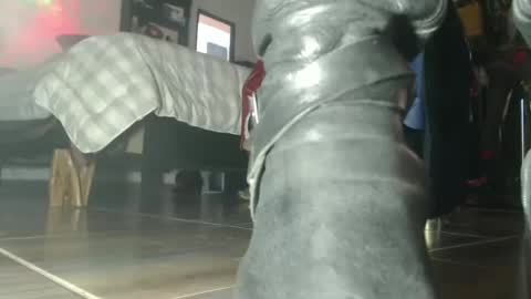 Eskela911 online show from 10/06/25, 07:44