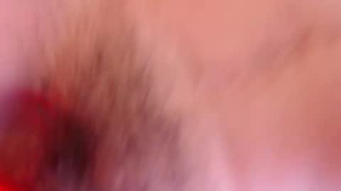 Snapshot of estelamaris1 chatting on 01/19/25, 12:28 estelamaris online show from 01/19/25, 12:28