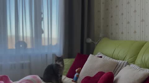 Estella online show from 02/03/26, 06:22