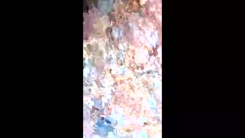 Snapshot of esteralcantara chatting on 02/09/26, 05:50 esteralcantara online show from 02/09/26, 05:50