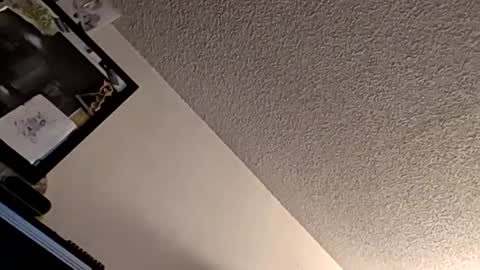 Snapshot of et528007 chatting on 11/07/25, 05:07 et528007 online show from 11/07/25, 05:07