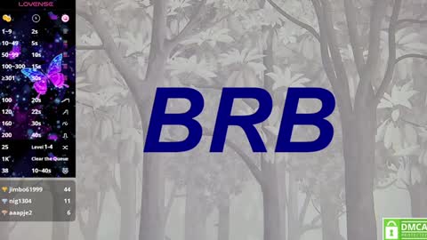 Eva online show from 01/30/25, 04:13