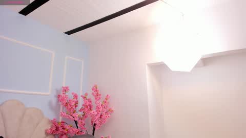 evahalston online show from 01/19/25, 07:37