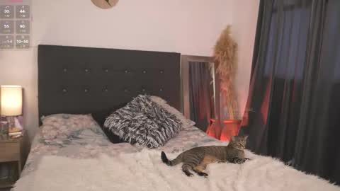 Snapshot of evajacksss_ chatting on 02/12/26, 09:21 evajacksss_ online show from 02/12/26, 09:21