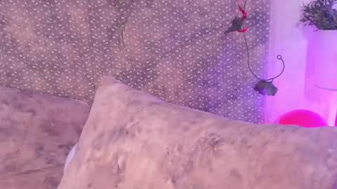 Snapshot of evan_smitt_ chatting on 02/15/25, 04:23 Evan Smitt online show from 02/15/25, 04:23