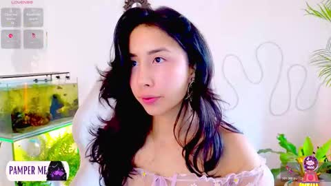 Im Eve or Chelle Next Stream 191224  online show from 02/18/26, 01:51