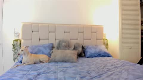 Snapshot of even_scoty chatting on 10/25/25, 12:23 even_scoty online show from 10/25/25, 12:23