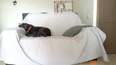 evil_boss1 online show from 04/22/26, 08:32