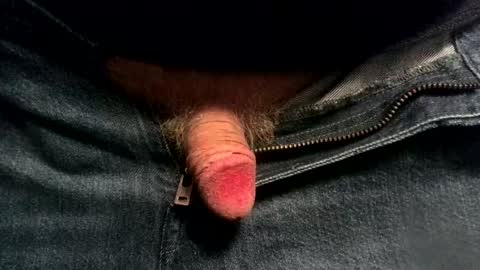 evolite_ online show from 11/19/25, 06:13