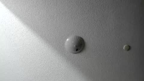 Snapshot of evparrish chatting on 01/20/25, 06:42 EV Parrish online show from 01/20/25, 06:42