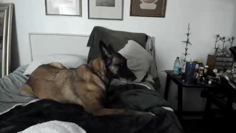 Snapshot of evparrish chatting on 02/02/25, 04:48 EV Parrish online show from 02/02/25, 04:48