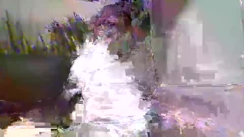 Snapshot of ewaldwillems99 chatting on 02/09/26, 03:49 Naaktloper online show from 02/09/26, 03:49