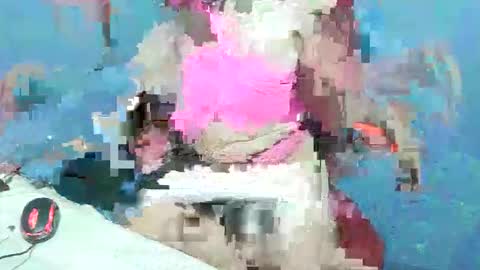 exotic_beautyxox online show from 04/23/26, 12:40