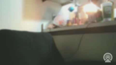 Exoticlexxii online show from 02/04/26, 07:14