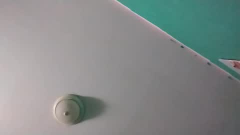 experttreecompany online show from 03/14/26, 10:10