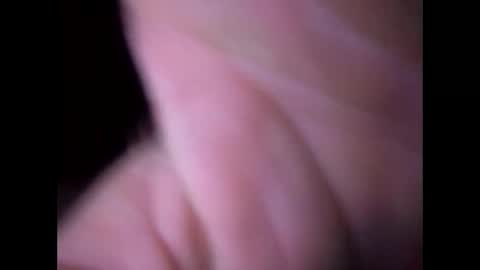 experttreecompany online show from 03/16/26, 11:47