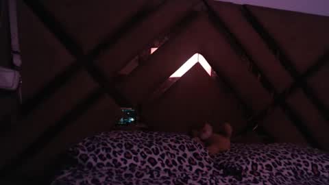 eyshaexotii online show from 03/18/26, 12:14