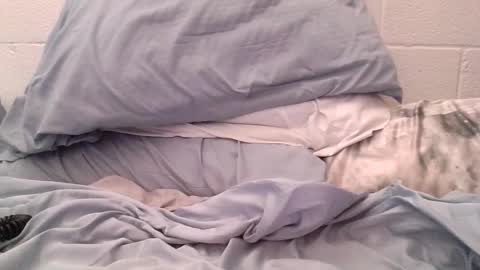 ez37going88 online show from 04/21/26, 02:12