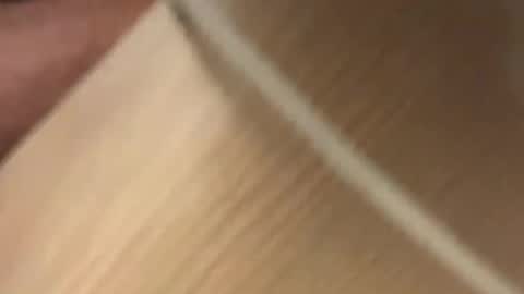 fabinou32 online show from 01/17/25, 12:20