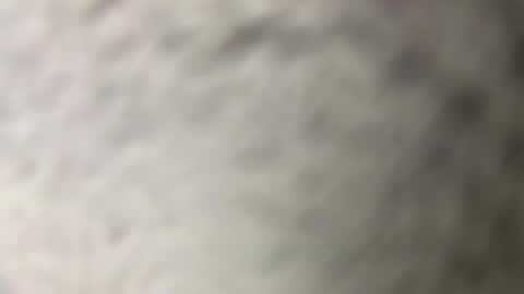 fabiolacal11 online show from 03/19/26, 11:47