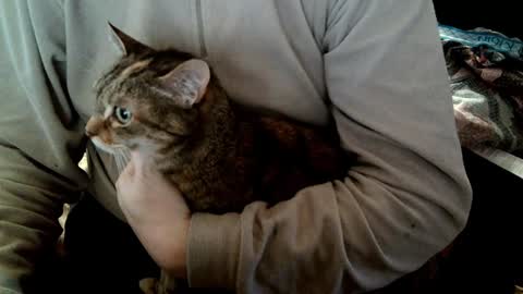 Snapshot of fabius2673 chatting on 02/05/25, 08:54 Fabius online show from 02/05/25, 08:54